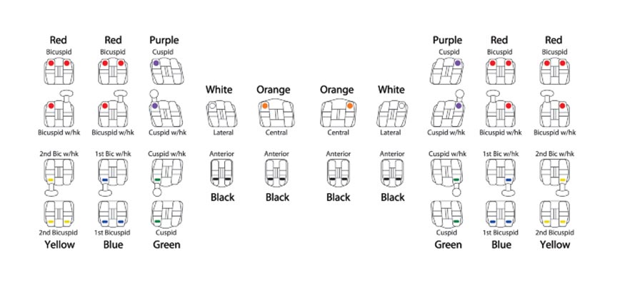 roth identification chart